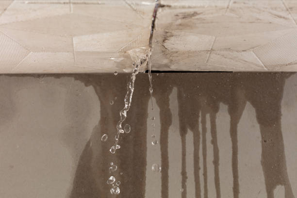 Professional Burst Pipe Cleanup technician working in Walland, TN